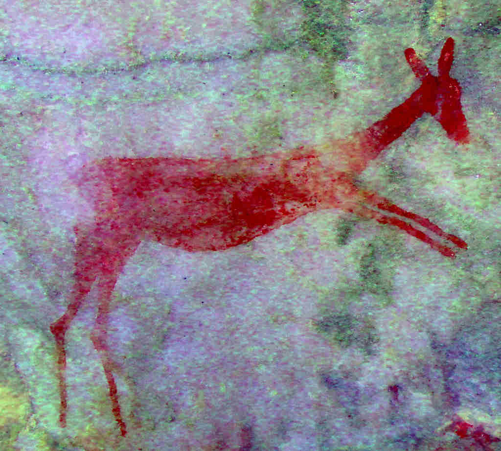 rock art tours south africa